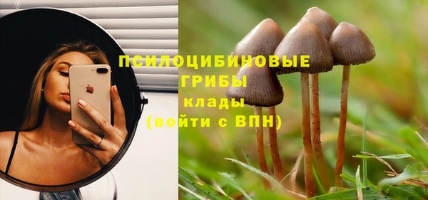 ALPHA-PVP Алексин