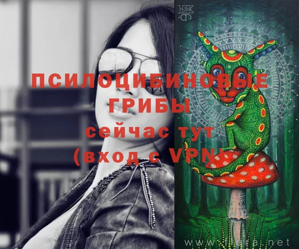 дурь Алзамай